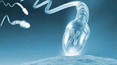 2026在兰溪市做基因检测多少钱？基因筛查可以规避哪些遗传病？