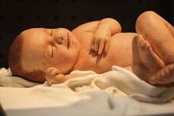 重庆市妇幼两大院区的详细地址分享，总部在哪儿清清楚楚