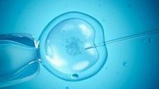 三明第三代试管婴儿多少钱，贵不贵？