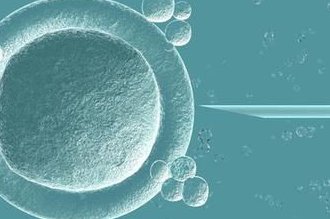 早产儿奶粉品牌排行榜单出炉，选对奶粉科学呵护宝宝成长